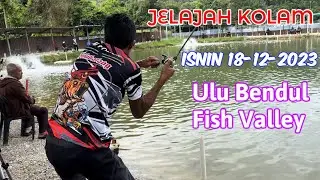 Isnin 18-12-2023 #jelajahkolam ULu BenDul Fish ValLey negeri sembilan🔥Jenahak bantal hawauuu #fish