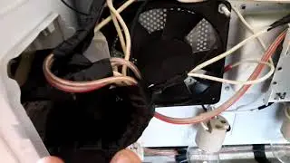 la mejor incubadora en microondas