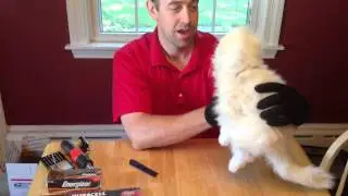 Bad Amazon Seller - Collectible-Acceptable condition Fur Real Cat with NO EARS!