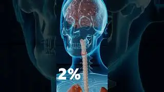 Few fun facts about your brain! 🧠
