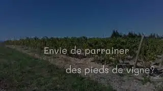 Domaine Arsac - Covigneron