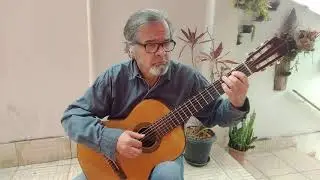 A Primeira Dor (opus 68 n&deg; 16) - Robert Schumann Viol&atilde;o - Paulo Newton