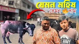 মিরপুর ১১ এ আগুন মহিষের বাজার! 😱 | Buffalo Market Bangladesh | Uzzol Gosto Bitan