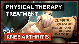 Physical Therapy Treatment for KNEE ARTHRITIS - Cupping, Graston, Trigger Point Release & More...