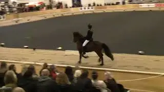 Funi fra Stall &Oslash;vstedal, IF18V1