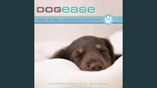 True Bliss