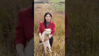 Video Triệu View Si&ecirc;u Hay | Best Oddly Satisfying #Shorts P5975