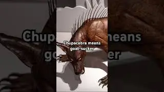 Facts about Chupacabra #legend #creature #animals #dinosaur #cryptids #facts