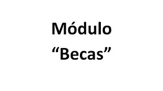 M&Oacute;DULO BECAS - Administrador de Caja