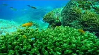 Enigma - 20000 Miles over the Sea