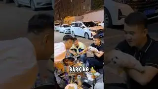 Эта маленькая собака, которая ведет себя агрессивно, когда находится на руках у хозяина.