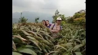 Uphill Trekking Ma On Shan Ridges- PinayHike at Ma On Shan Trail Hong Kong