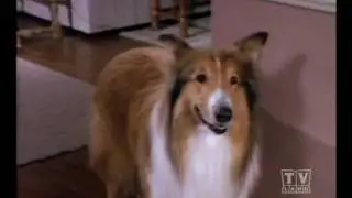 The New Lassie (Season 1 Eps19