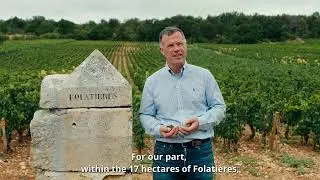 Presentation of Puligny-Montrachet Premier Cru Les Folati&egrave;res 2022 Vintage (4/2024)