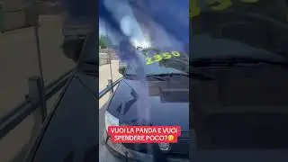 VUOI LA PANDA E VUOI SPENDERE POCO?🤔
