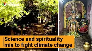 TN&rsquo;s sacred groves under threat | The Federal
