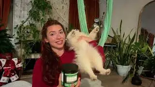 The Only Thing That Calms My Small Dog &ndash; Hemp Chews That Work!