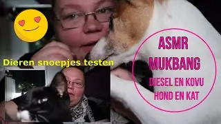 ASMR mukbang Nederlands - dieren snoepjes testen met een hond en kat