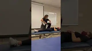 Flexion-Adduction Axial Compression Test