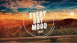 Aerial Forest View with Ambient Music for Relaxation Part 1 I No Copyright Relaxing Music