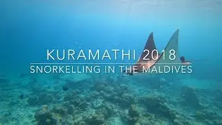 Snorkelling in the Maldives - Kuramathi - 2018