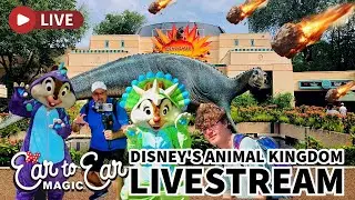 🔴 LIVE - Disney Animal Kingdom Theme Park -  Live Stream 01.27.2026