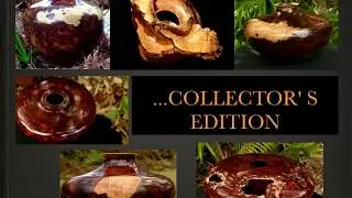 Honduras Rosewood Burl Turnings on Lathe (presented by junglepixiebelize)