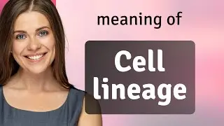 Understanding Cell Lineage: A Guide for English Language Learners