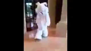 Grumpy Easter Bunny Just Can't
