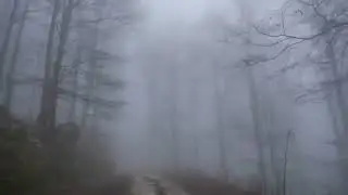 I want to walk over there