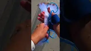 How to Throw a Cast Net in the Surf (Easy Guide)