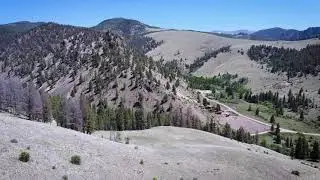 MUSICAL DRONE in 