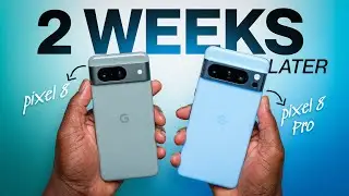 Pixel 8 Pro & Pixel 8 ALMOST 2 Weeks Later Review