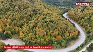 K&uuml;tahya&rsquo;da Domani&ccedil; Dağlarında renkler Sonbahar&rsquo;a d&ouml;nd&uuml;
