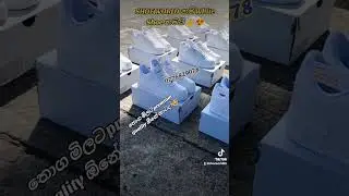තොග මිලට premium quality / Air Force 1/ සපත්තු / shoes #shorts #shoeworldsl #viralvideo