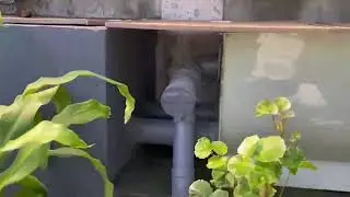 🇵🇭 Filtration System Model 30  Drum Filter with Micromesh and K1 Biofilter raufilter.