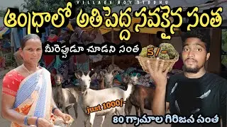DEAD CHEAP TRIBAL MARKET IN ANDHAR&ODISHA BORDER || LOCAL MARKET ||#village