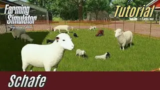 Sheep: Farming Simulator Signature Edition Tutorial