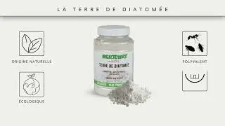 Terre de Diatom&eacute;e : La Solution Naturelle Contre les Rampants