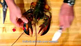 Gordon Ramsay extrait la chair d'un homard pendant MasterChef (VOSTFR)