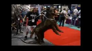 IAAPA 2012 Scare Factory Booth