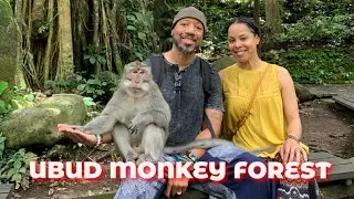 First Time in Ubud, Bali Indonesia | MONKEY FOREST: Monkey Forest Sanctuary in Ubud, Bali