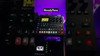 Digitone Mood! #electronicmusic #dawless #ambient #synth #jamming #digitone #bass #mood