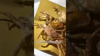 IDEA per un WEEKEND nella LAGUNA 🦀🐟🎣