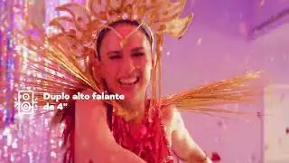 CARNAVAL COM VIBESOUND E TATA WERNECK
