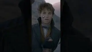 Newt gives Dumbledore the blood pact pendant #HarryPotter #FantasticBeasts #NewtScamander