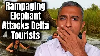 Rampaging Elephant Flips Safari Canoes and Attacks Brit & US Tourists in Botswana&rsquo;s Okavango Delta