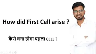 How Did First Cell arise ?