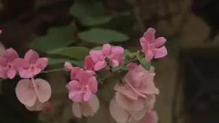 Como e bom sentir o teu amor tocar em mim