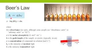 Spectrophotometric Enzyme Assays